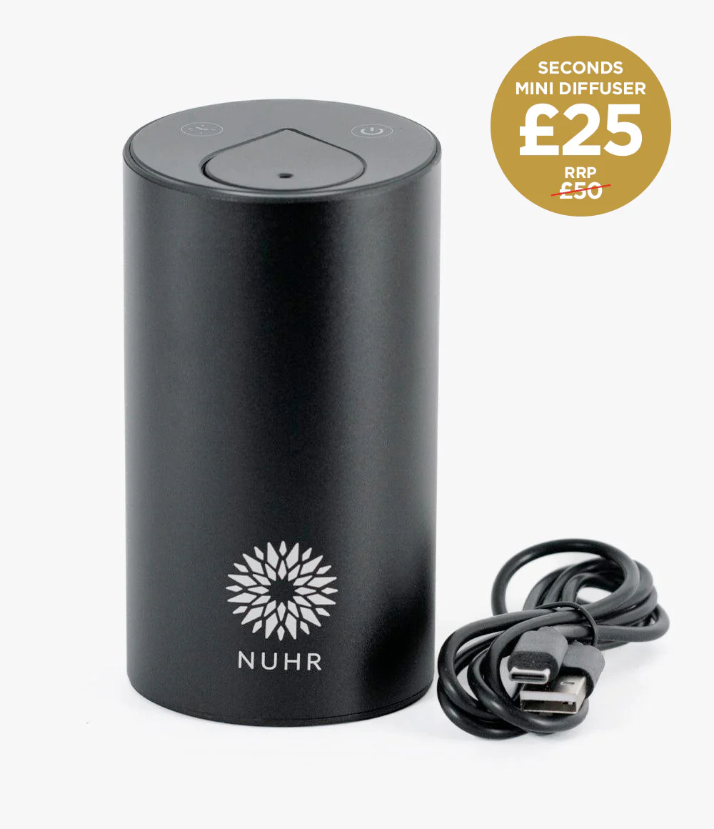 Christmas Electric Diffusers Sale